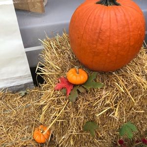 Meet your Posher, Cosette